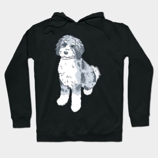 Blue Merle Aussiedoodle Hoodie